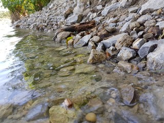 Seeufer in der Natur