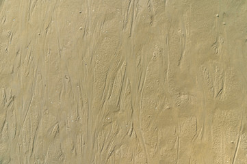 Wet sand of the sea floor at low tide.