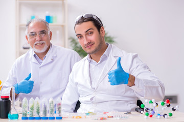 Two chemists working in the lab