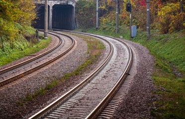 Fototapeta na wymiar Railroad, two tracks. The frame is a smooth rotation. Entry into the tunnel. The picture shows trees, bushes, grass.