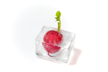 Frozen vegetables in ice cubes