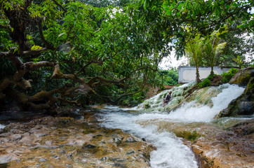 Obraz premium Hot spring, Mangeruda (Soa Mengeruda), Flores, Indonesia