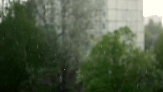 Drops of heavy rain are falling against the background of trees and city houses. Fawkes on raindrops.