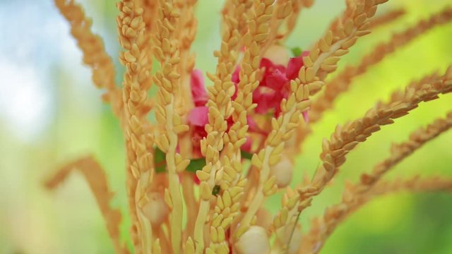 Wedding ceremony, traditional indian hindu marriage ritual with red flowers and attributes