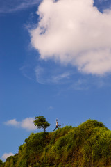 a tree with beautiful clouds above it