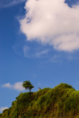 Obraz premium a tree with beautiful clouds above it