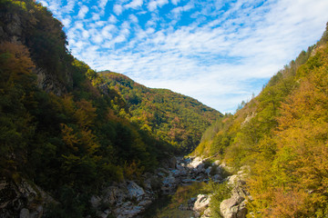 Fototapeta na wymiar Rhodope Mountains from Bulgaria