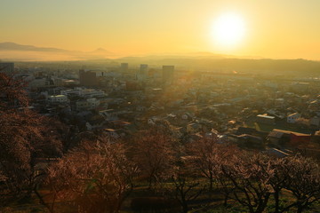 春の釣山公園