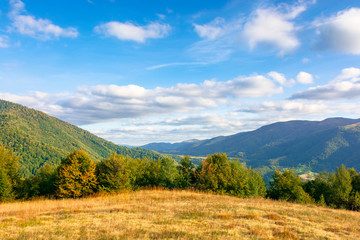 wonderful autumn scenery on a sunny evening. trees and weathered grass on the hills. mountain range in the distance beneath a blue sky with clouds