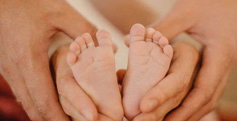 Hands of mom and dad hold the baby's legs