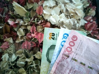 money and flowers