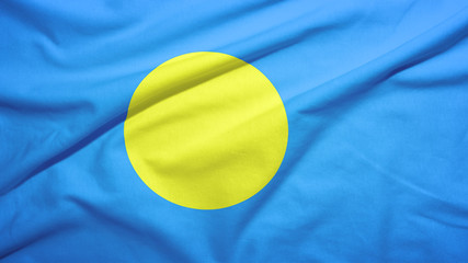Palau flag with fabric texture