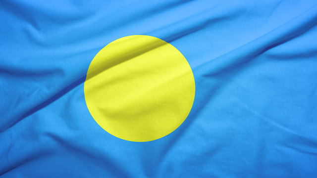Palau flag with fabric texture