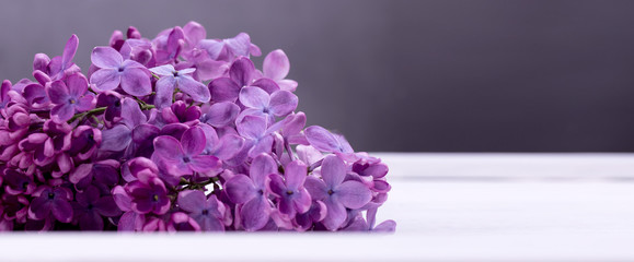Macro picture of bright violet lilac flowers on a white background. Abstract romantic floral background.