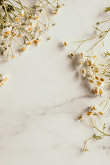 white flowers on marble