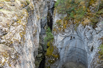 Maligne Canyon Jasper Canada