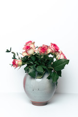 Strauß rosaner Rosen in Blumenvase vor weißem Hintergrund
