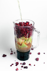 Smoothie Mixer mit verschiedenem Obst und Saft, Bunter Mixer mit Melone, Himbeeren, Johannisbeeren und Apfelsaft