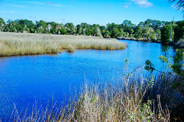 Beautiful Florida swamp winter landscape