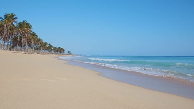 Wild beach Macao. Punta Cana, Dominican Republic. Waves on the sand of a beautiful tropical beach. Palm trees on the shore.