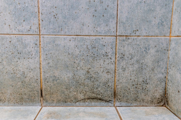 Mildew, dirty unhygienic mold growing on bathroom wall tile