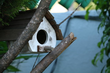 Casa de pajaro