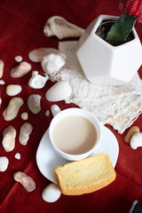 cup of coffee, cacti, and seashells with toast. Red background