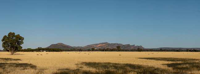 Panoramic view of rolling farm fields of freshly harvested hay on rural properties in Victoria with part of the Grampians National Park mountain range rising in the background