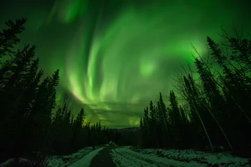 Fotobehang Astonishing, amazing northern lights aurora borealis seen in Yukon Territory, northern Canada in fall autumn. Road with trees, woods and green sky.  © Scalia Media