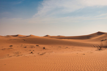 Fototapeta na wymiar Middle East Desert
