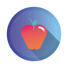 apple fresh fruit detailed style icon