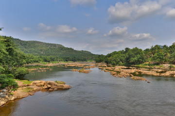 river and forest