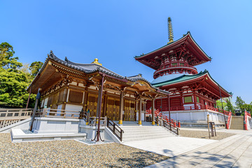 成田山新勝寺平和大塔と醫王殿