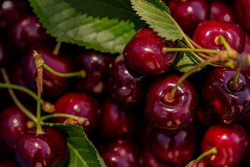 Macro image of red cherries and green leaves. Natural background of summer sweet fruits. Summer fruits. Top view