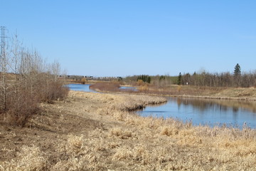 Spring On Pylypow Wetlands, Edmonton, Alberta