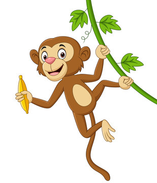 Cartoon monkey hanging and holds banana in tree branch