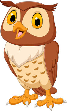Cartoon funny owl isolated on white background