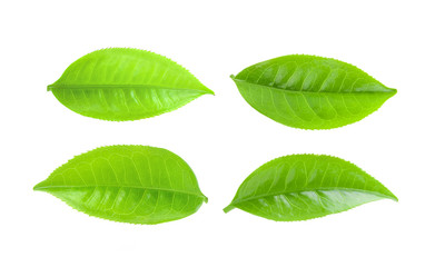 tea leaves on a white background