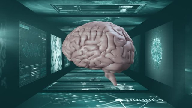 Animation of humain brain spinning over screens of medial scans