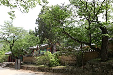 Fototapeta premium 한국 경북 포항시 옥산서원 입니다