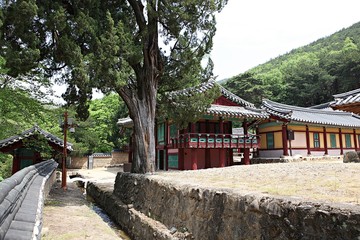 한국 경북 포항시 옥산서원 입니다