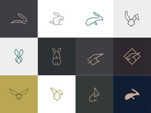 Set Of Premium Rabbit Logo