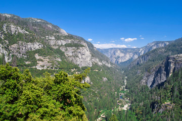 Fototapeta premium Yosemite National Park Ma moth California.