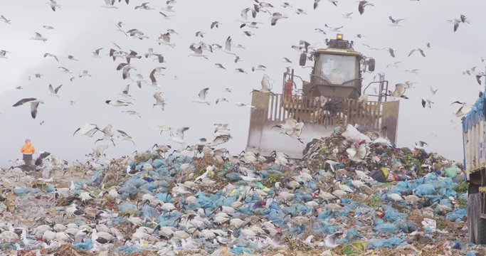 Vehicles clearing rubbish piled on a landfill full of trash 