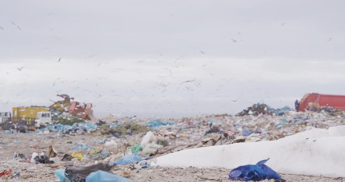 Birds flying over rubbish piled on a landfill full of trash 