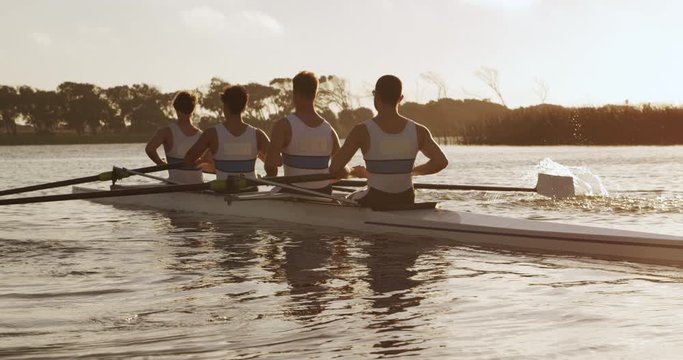 Rear view of male rower team rowing on the lake