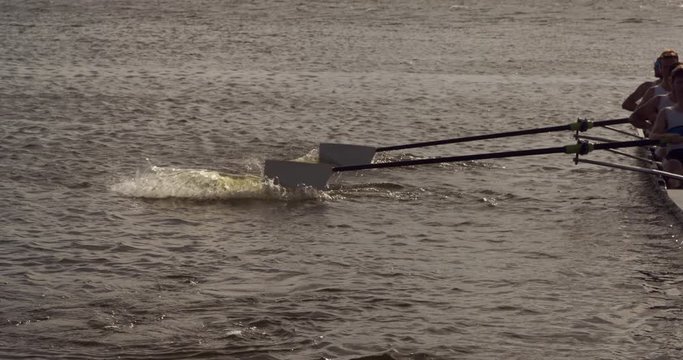Male rower team practicing rowing on the lake