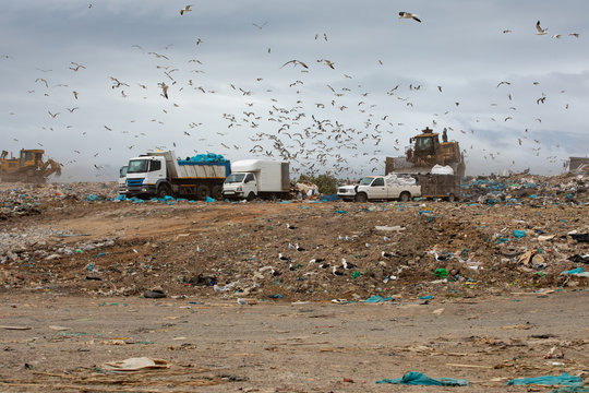 Rubbish piled on a landfill full of trash with vehicles working