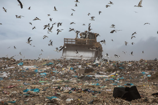 Rubbish piled on a landfill full of trash with a bulldozer