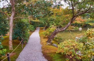 The white gravel path through the traditional Japanese moss park.  Kyoto. Japan